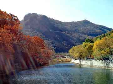 新澳天天开奖资料大全旅游团，经典穿越完结小说